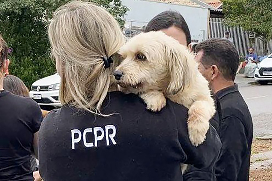 Polícia Civil do Paraná orienta sobre como denunciar maus-tratos a animais 
