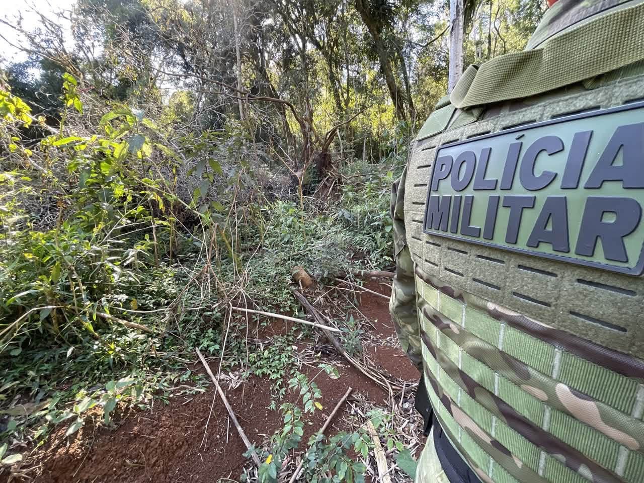 Polícia Ambiental aplica multas de R$ 7 mil por desmatamento ilegal em assentamento de Pinhão  