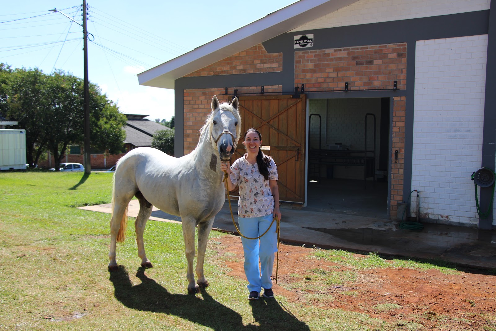 Com estrutura modernizada, Clínica Veterinária da Unicentro retoma cirurgias de grandes animais  