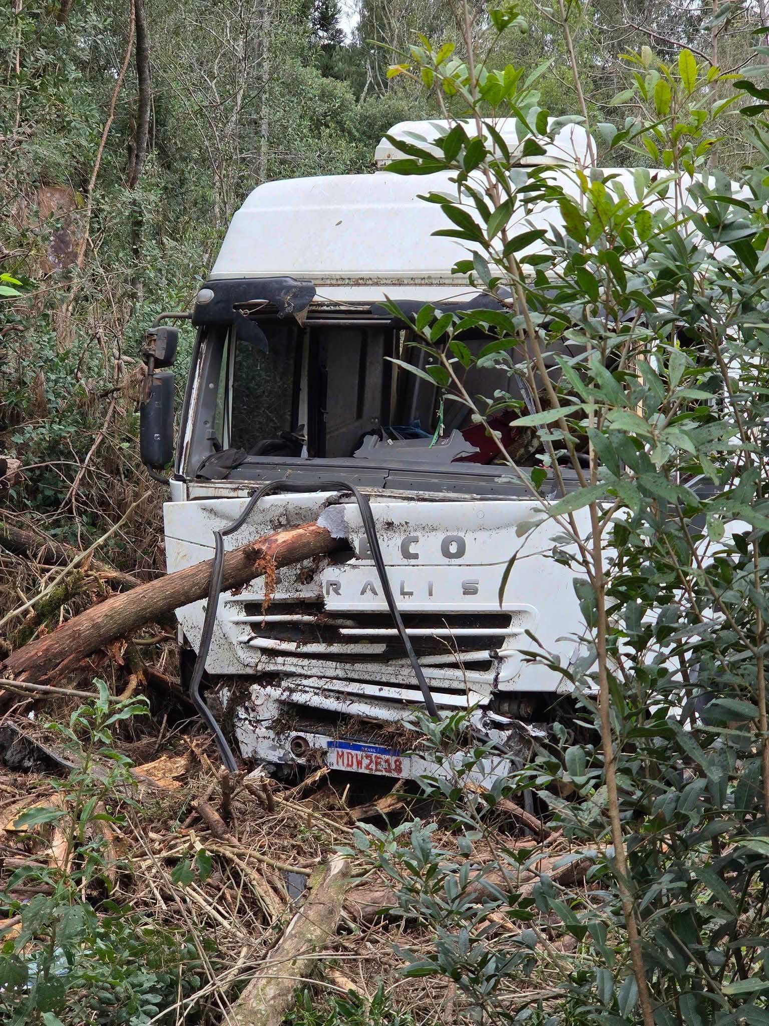Galho atravessa cabine de caminhão e passa a centímetros do motorista em acidente na PR-170  
