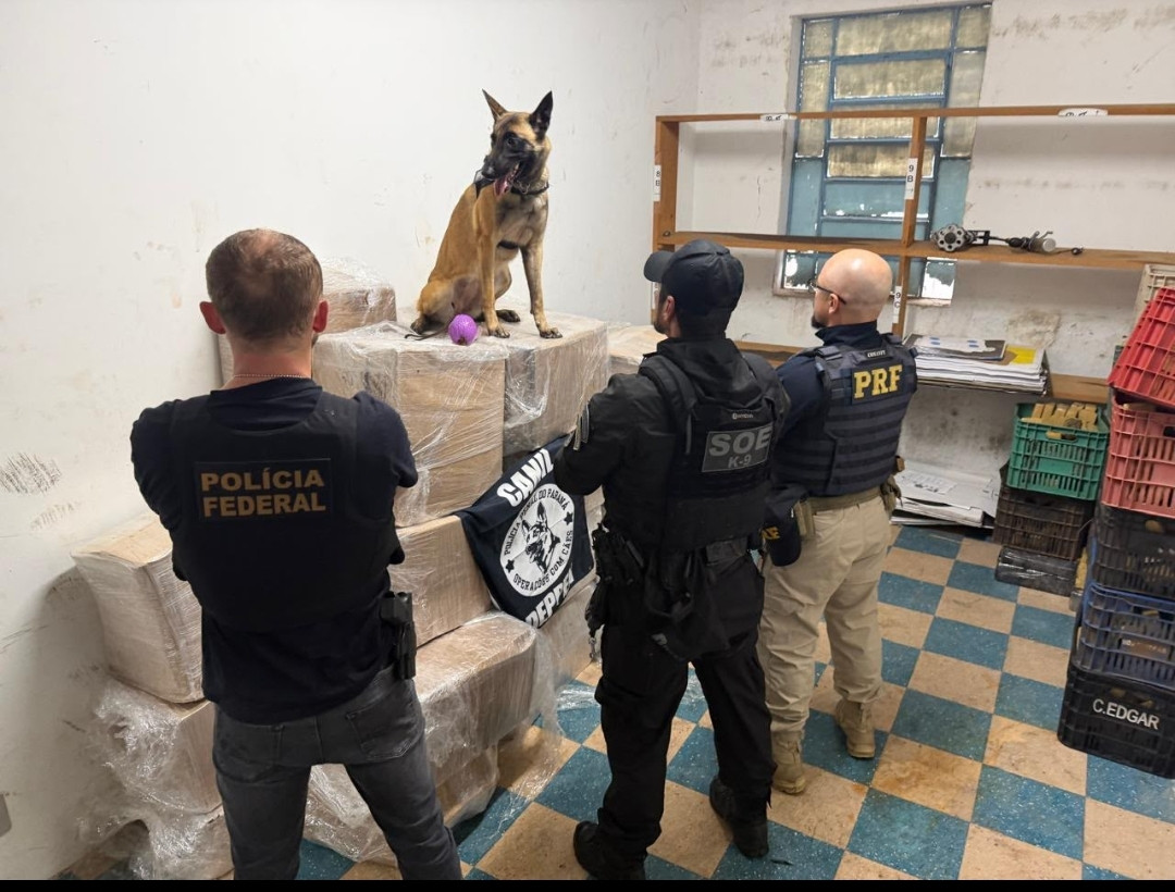 FICCO/PR apreende quase uma tonelada de maconha em caminhão na BR-277, em Guarapuava  