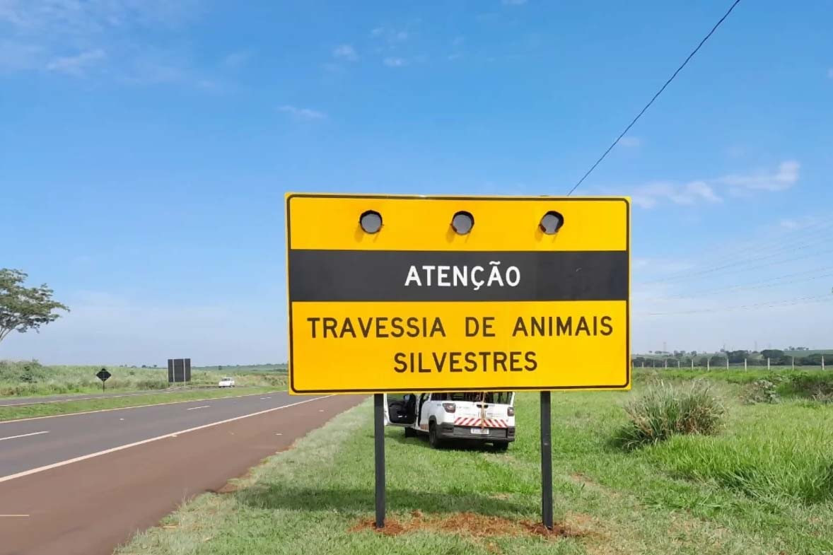 Feriado prolongado: Estado reforça cuidados com a fauna silvestre na estrada  