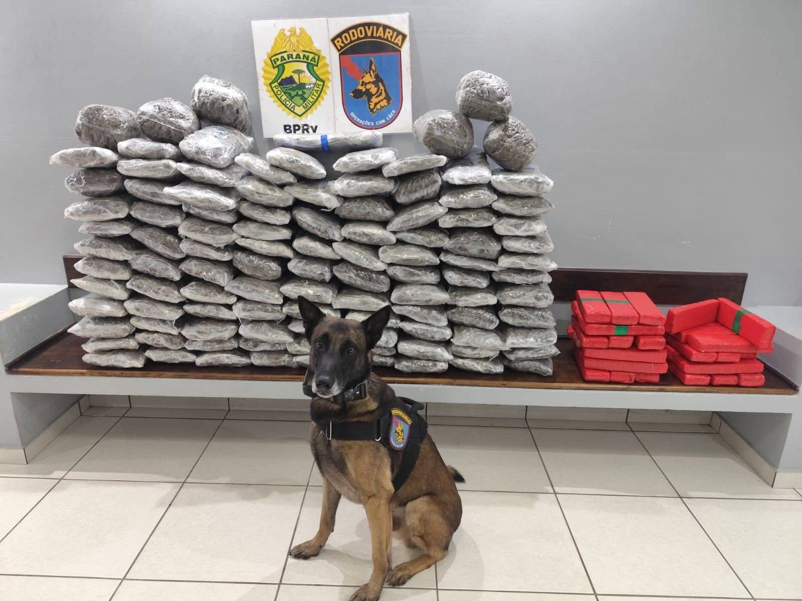Operação Protetor apreende mais de 133kg de drogas na BR-277, em Guarapuava   