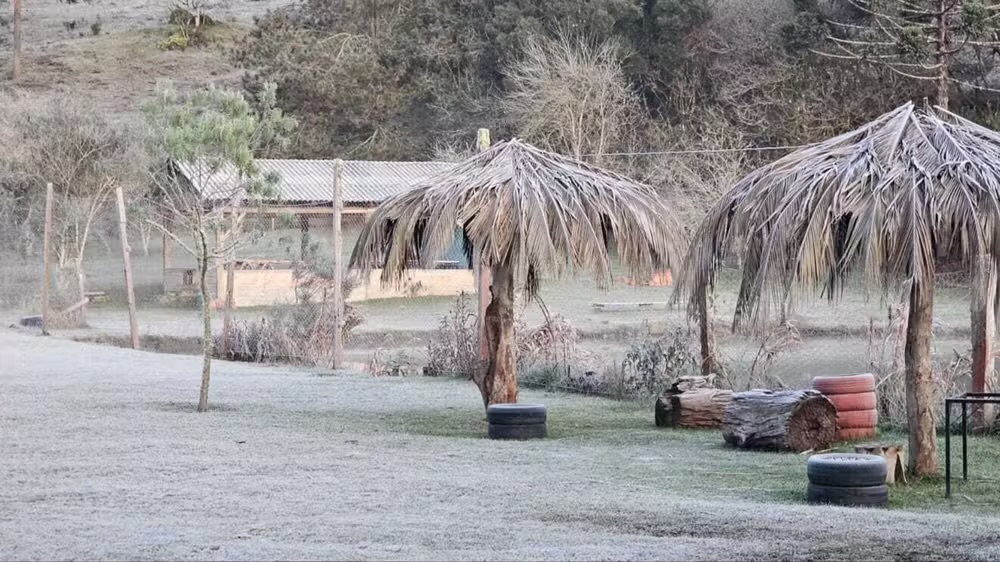 Paraná registra geadas, a menor temperatura do ano e sensação térmica de -8,4ºC  