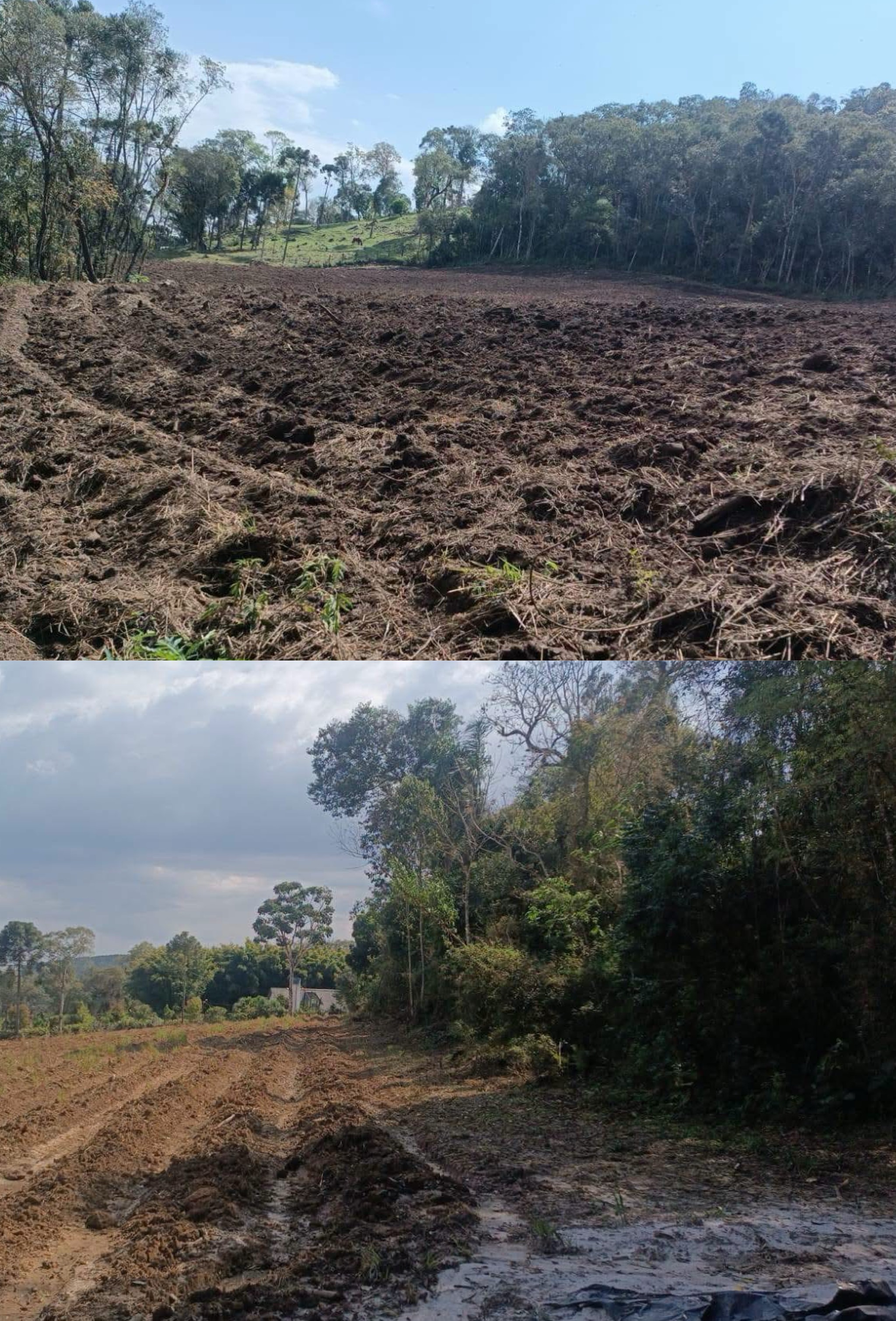 Polícia Militar Ambiental aplica R$ 25 mil em multas por irregularidades ambientais em Imbituva  